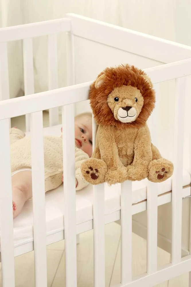 Cloud B Debesis B Debesis, Louis Lion Szumiący Lew