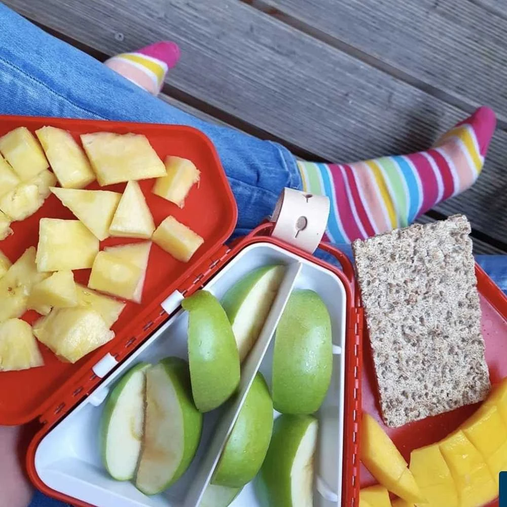 Trunki Nešiojama dėžutė, konteineris TeeBee žaislams - mėlynos spalvos
