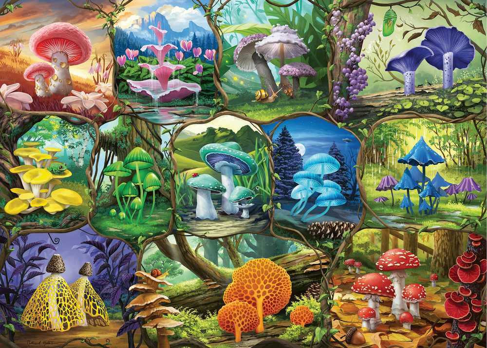 Ravensburger Dėlionė 1000 vnt. - Gražūs grybai aprašymas - Prekės nuotrauka