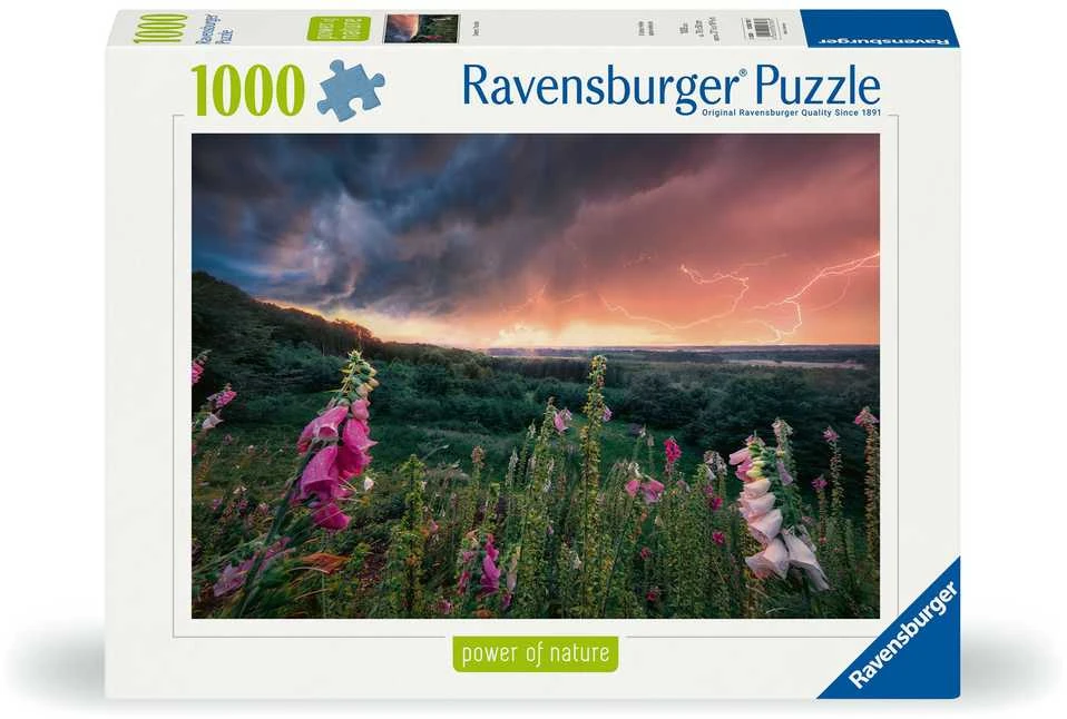 Ravensburger Dėlionė 1000 vnt. - Audra aprašymas - Prekės nuotrauka
