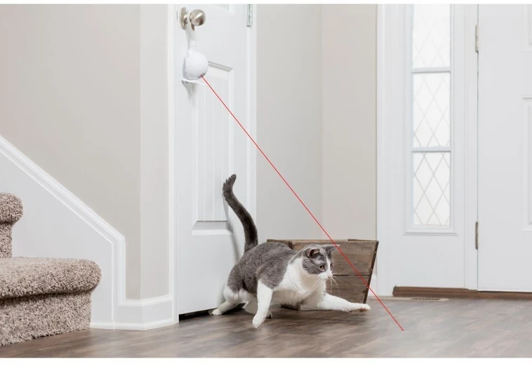 PetSafe Dancing Dot - automatinis lazerinis žaislas katėms