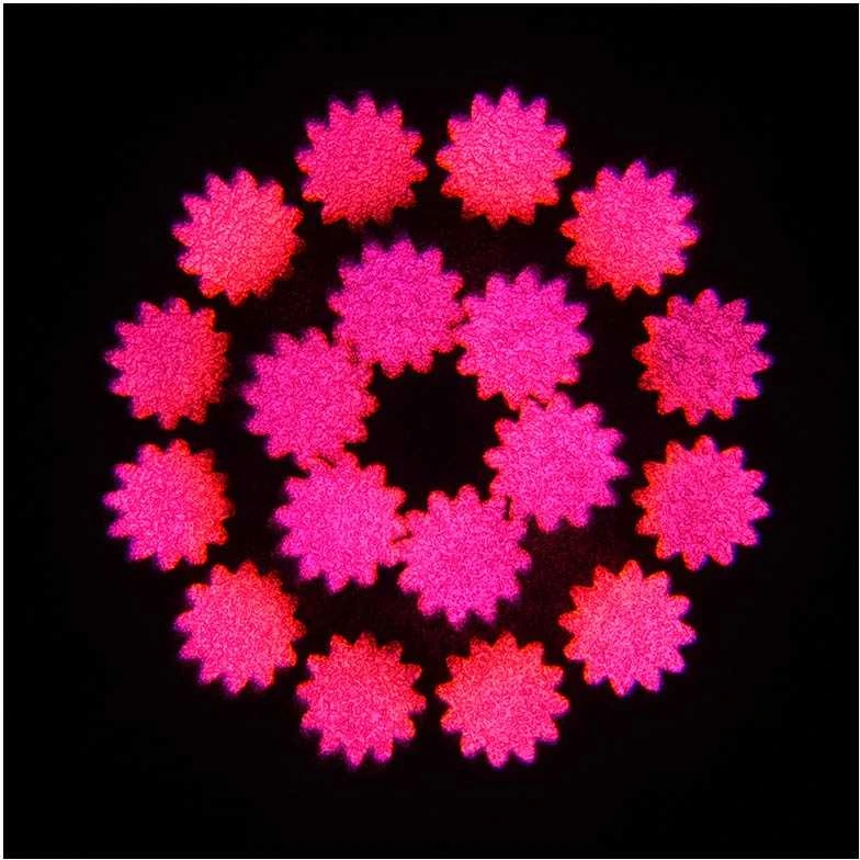 „Carruzzo EVOLIGHTS NEO BEAM“ 100 W LED judanti galva su šviestuvu