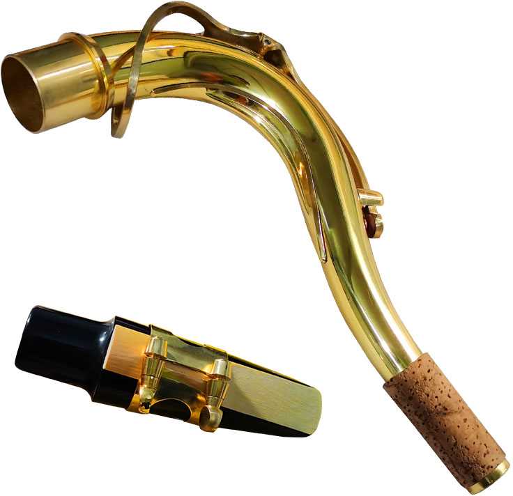 V-TONE TS 100 tenorinis saksofonas su dangteliu