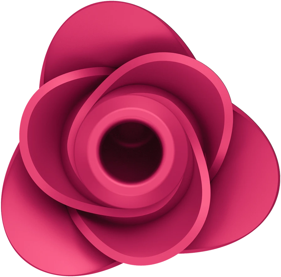 SATISFYER - AIR PULSE PRO 2 MODERN BLOSSOM VIBRATOR