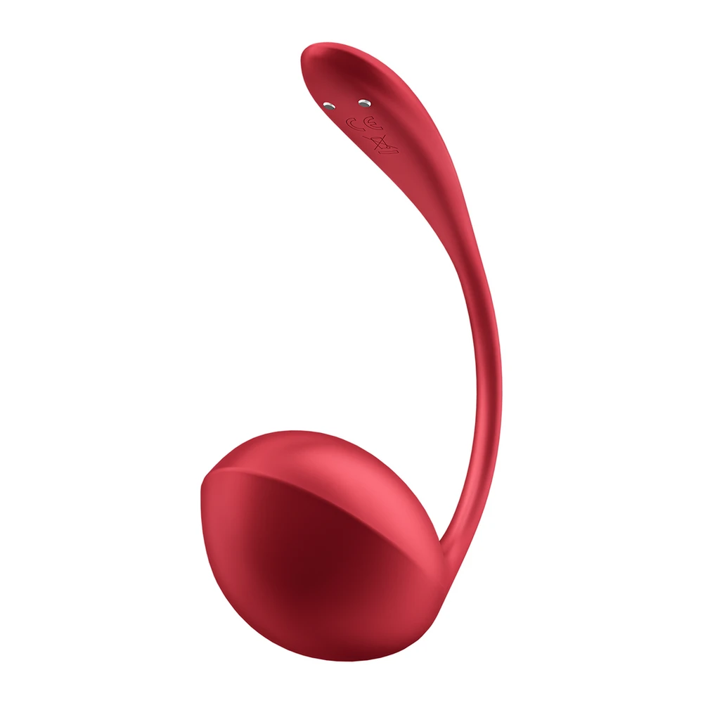 Satisfyer Blizganti „Shine Petal red“ programa „Connect“