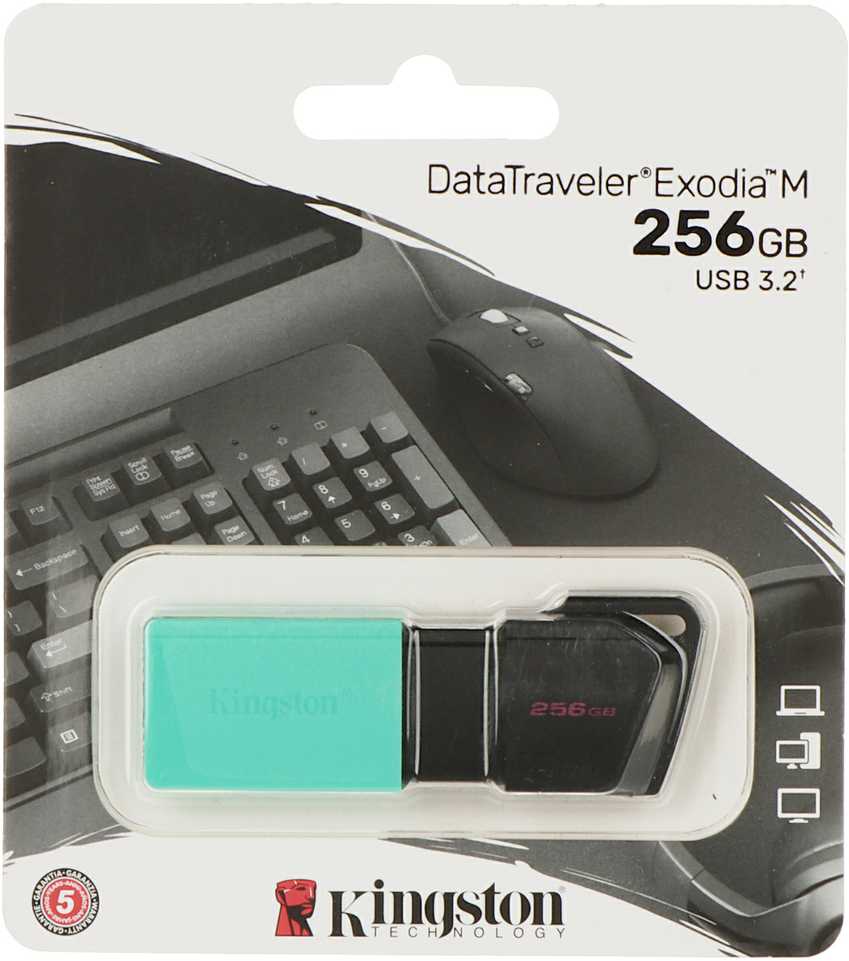 PENDRIVE FD-256 / DTXM-KINGSTON 256 GB USB 3.2 Gen 1
