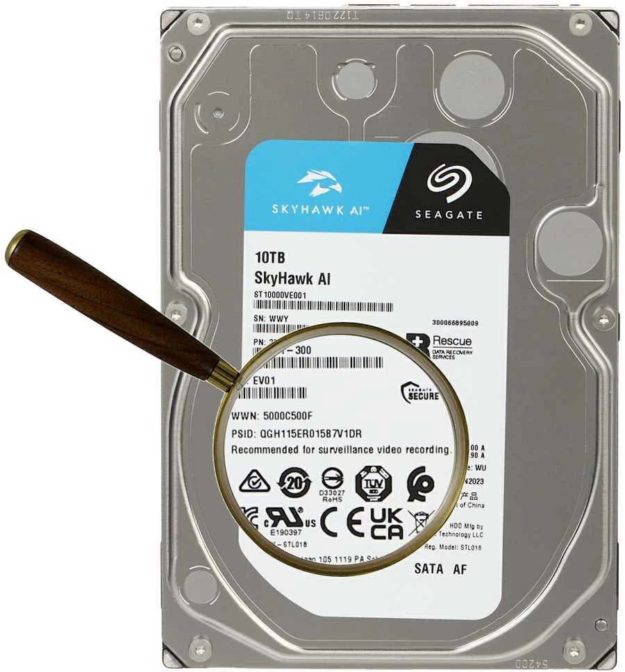 Kietasis diskas HDD Seagate SkyHawk AI 10TB