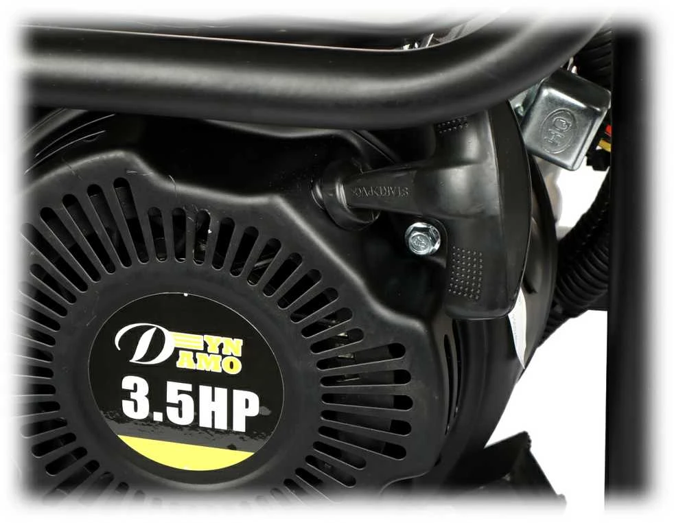 Delta ELEKTROS GENERATORIUS DY-1020/PRO 800 W Dynamo