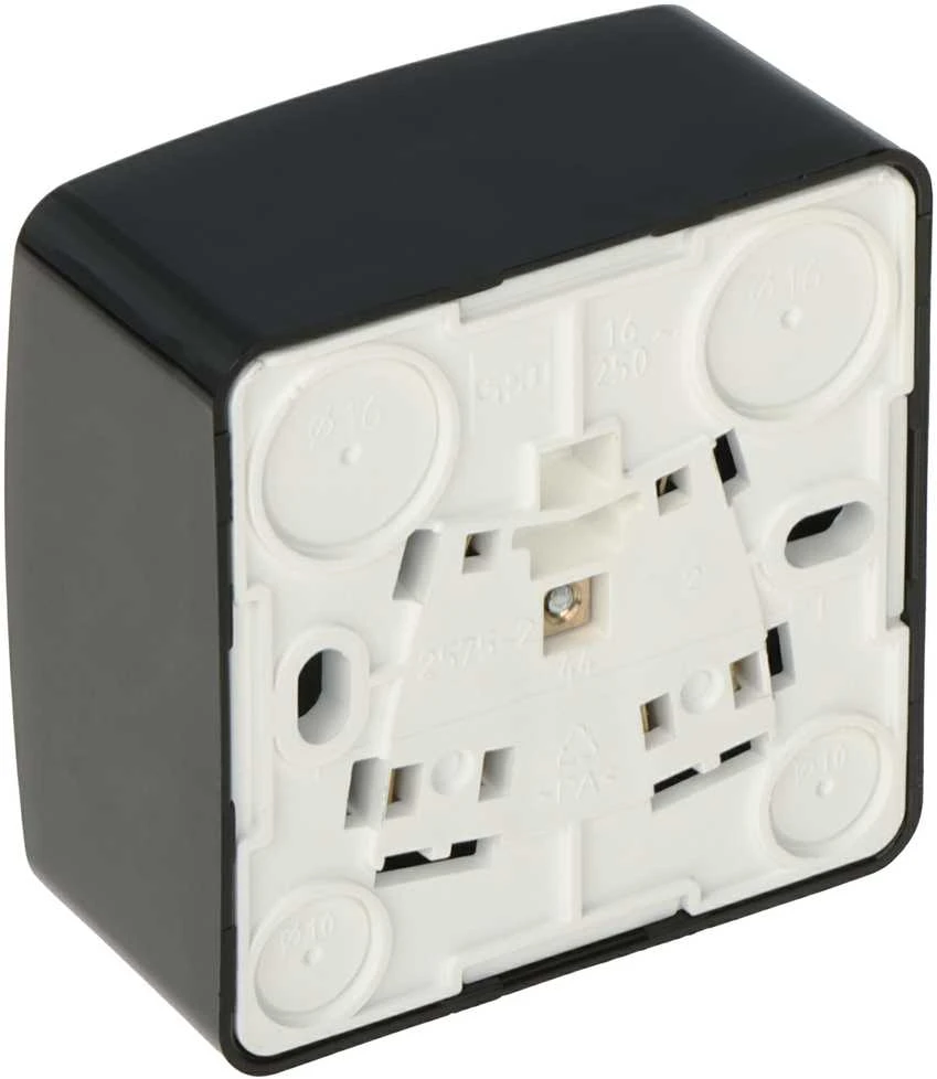 Nasielsk LIZDAS MONTUOJAMAS ANT PAVIRŠIAUS PAVIENIS BERG/3733-09/EPN 250 V 16 A Elektro-Plast