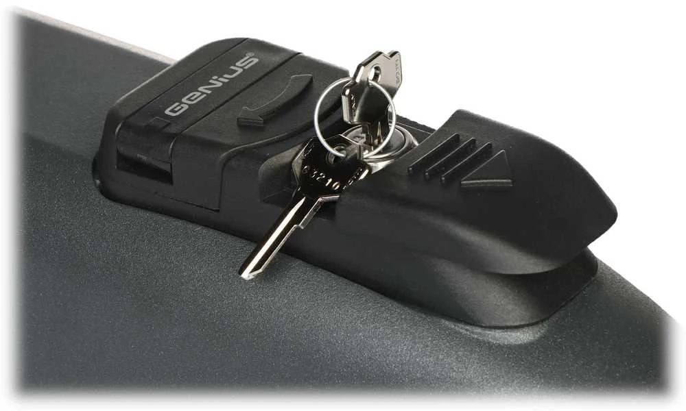 Faac VARSTOMŲ VARTŲ PAVARA GENIUS-MISTRAL-300LS/KIT - DVIVĖRIŲ VARTŲ RINKINYS