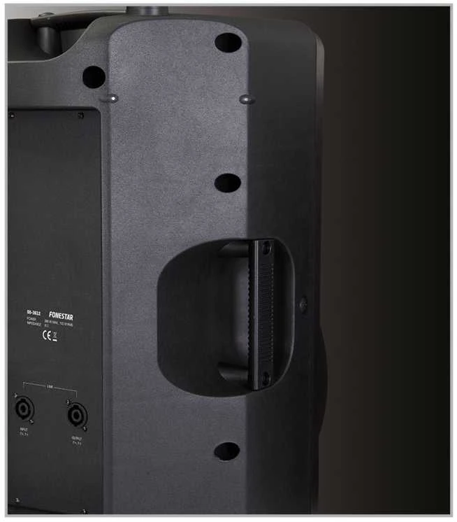 Fonestar SB-3612 - Profesionalus dvipusis garsiakalbis