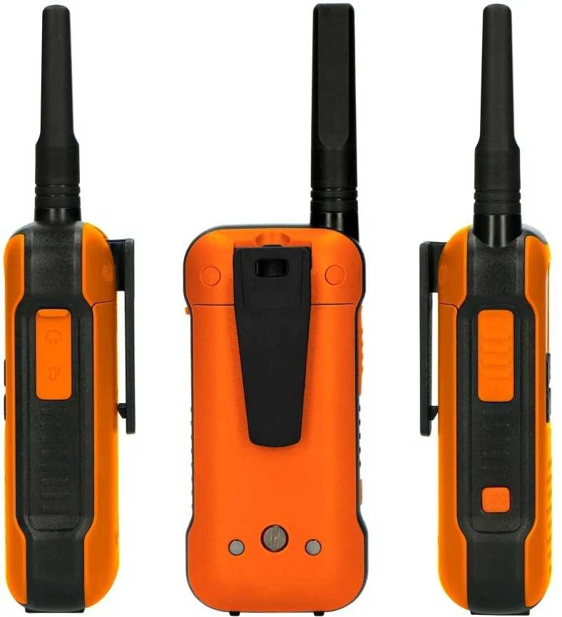 Lenco ALECTO FR-300OE racijų rinkinys