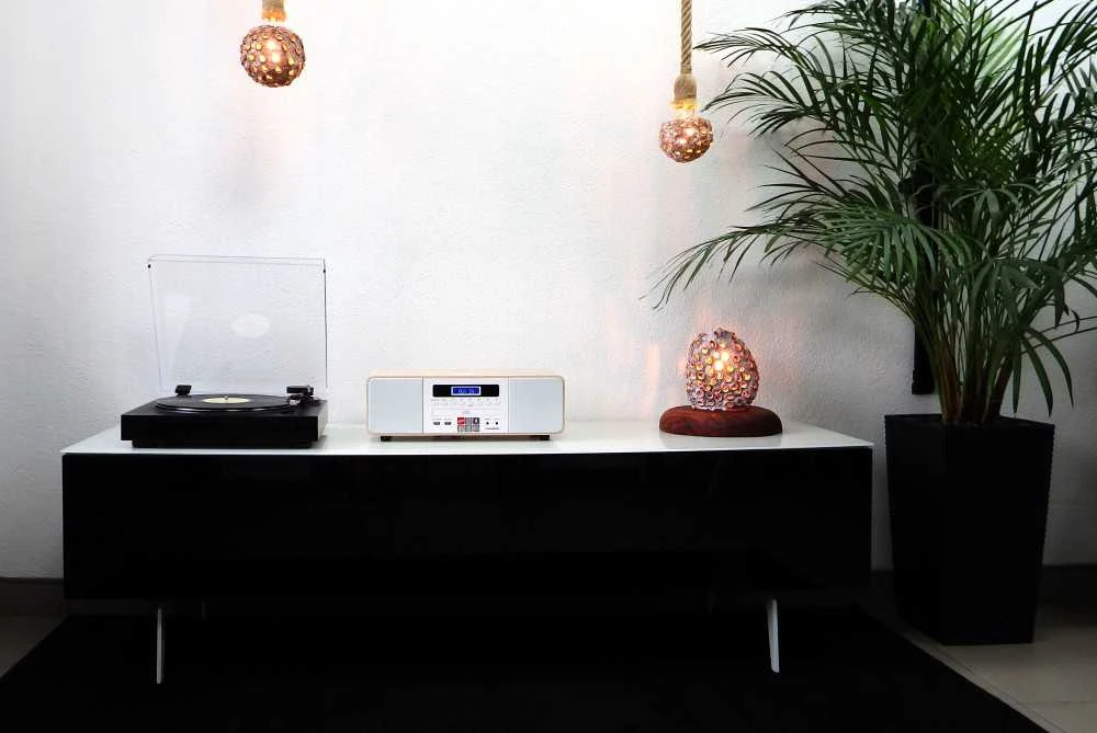 Stereo grotuvas / skaitmeninė mini HiFi sistema su patefonu THOMSON TT350 ir MIC201