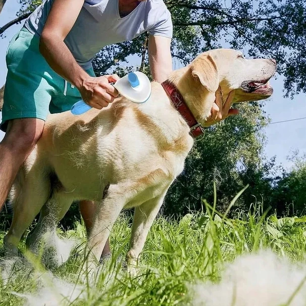 Nemo Mėlyna Pet šukos augintiniams
