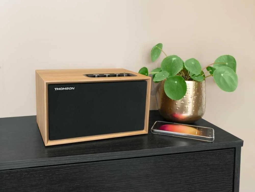 Thomson WS302 - Medinis „Bluetooth“ garsiakalbis