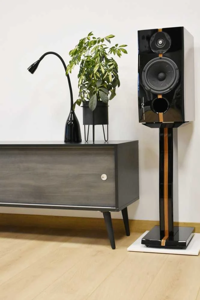 Medinė TV spintelė RETRO stiliaus SONOROUS RTRA-180-BLK-BNW plotis 180cm