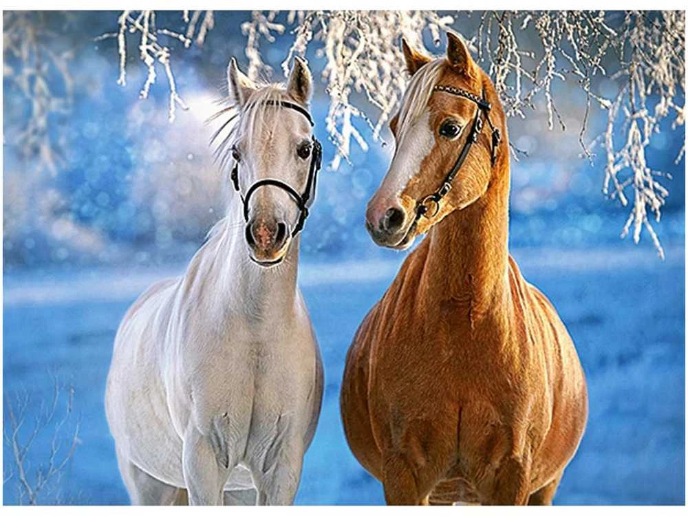 Castorland dėlionė THE WINTER HORSES 260 det.