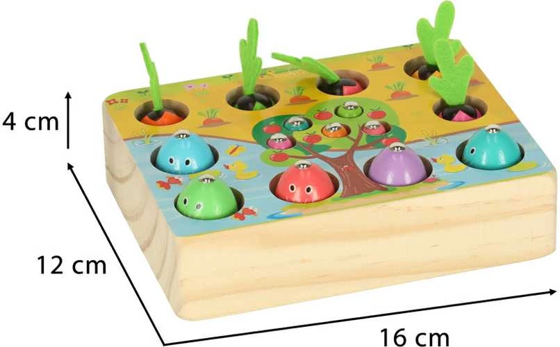 DWM Magnetinis žaidimas žvejyba vabzdžiai daržovės