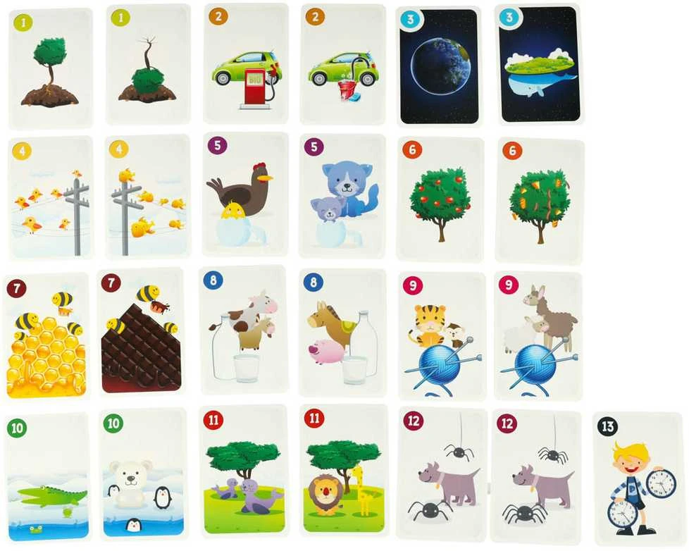 Trefl MUDUKO GRY - FABRYKA KRAKOW Žaidimas EDU Piotru True/False 84368