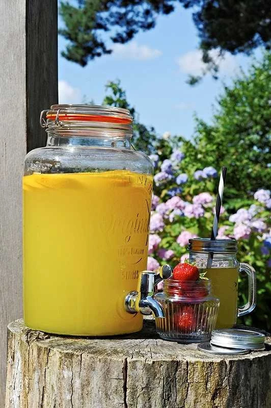 Kilner Original 0025.405 5l
