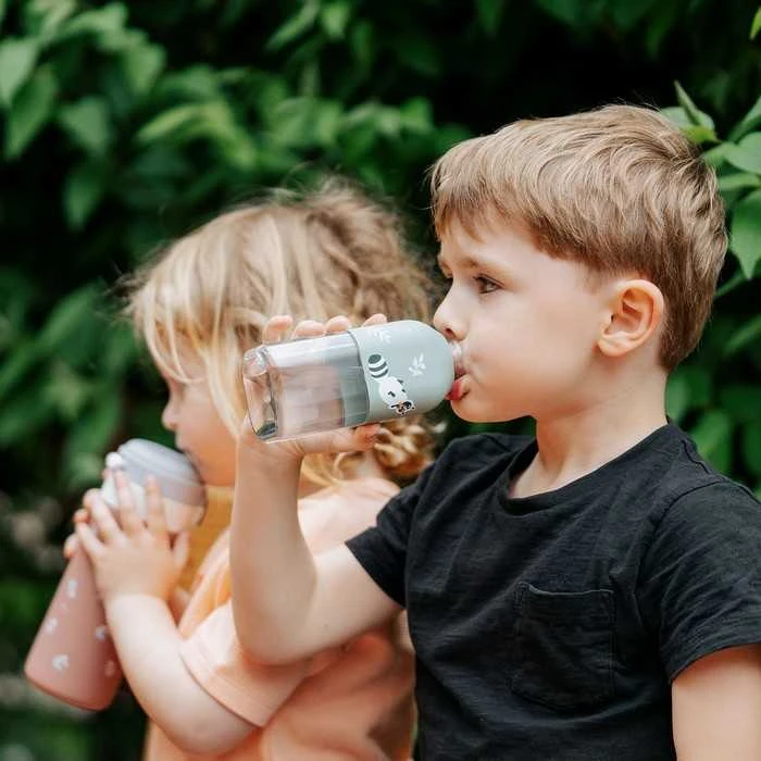 Kids Euroswan „Monbento“ dovanų dėžutė vaikams – „MB Trésor“ + „MB Positive S“ – „Racoon“
