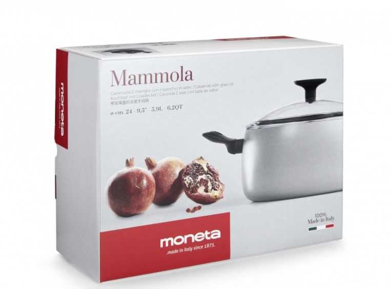 Indukcinis puodas su dangčiu 24 cm, Moneta