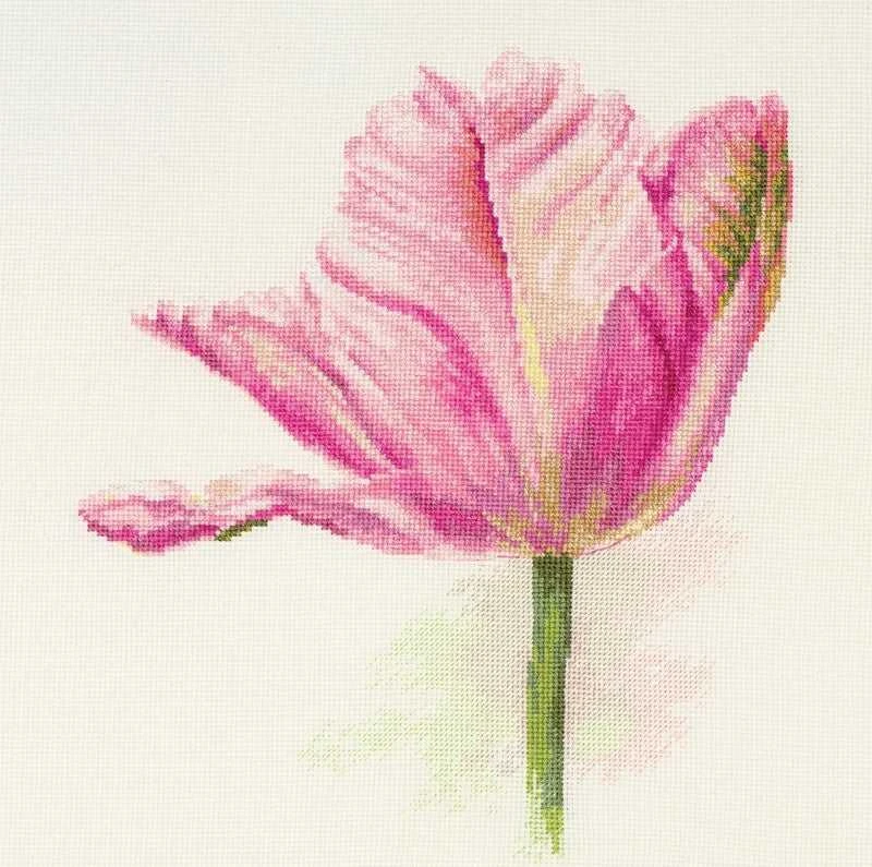 Alisa Beldizart Tulpės. Šviesiai rožinės S2-42