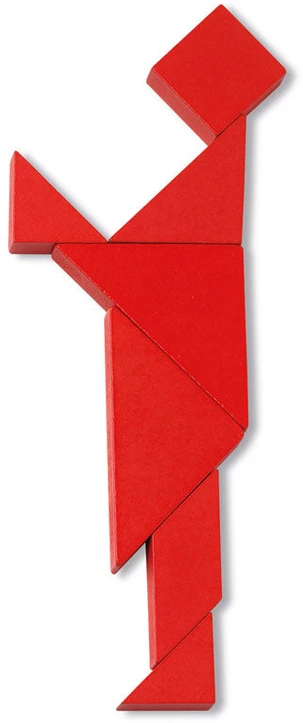 Cayro stalo žaidimas „Tangram 4 (medinis)“, 1–4 žaid., nuo 5 m.