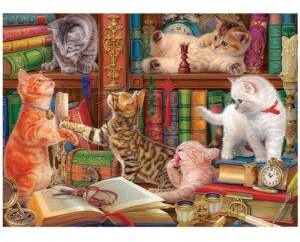 Eurographics Kačiukai bibliotekoje – 1000 detalių dėlionė suaugusiems, vidutinė, 67×49 cm
