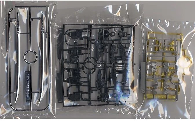 Bandai MG 1/100 GUNDAM ASTRAY Raudonas FRAME REVISE