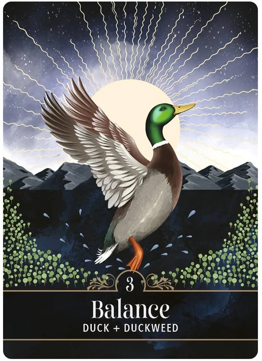 Hay House The Familiar Magic Pocket Oracle – kišeninė 44 orakulo kortų kaladė