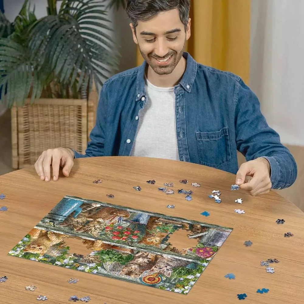 Ravensburger - Dėlionė Katės Ant Lentynos 500p (12000205)