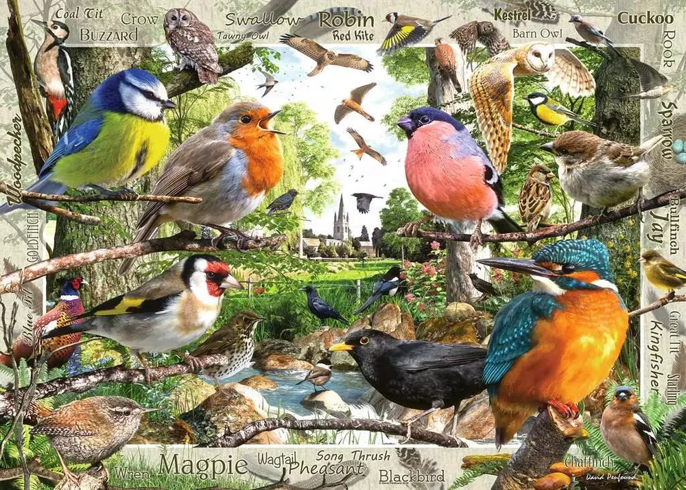 Ravensburger Dėlionė 1000 vnt. - Paukščiai
