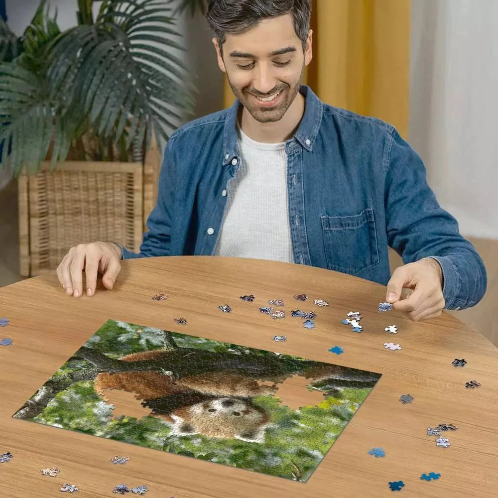 Ravensburger Dėlionė 500 vnt. - Raudonoji panda