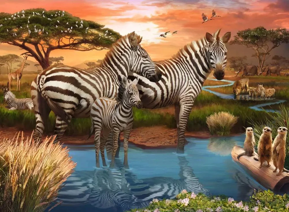 Ravensburger dėlionė „Zebrai“, 500 det.