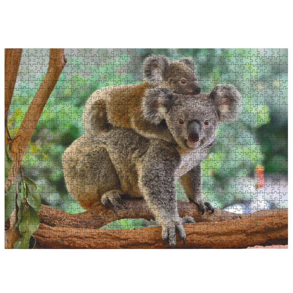 Dodo Dėlionė 1000 vnt. - Koalos