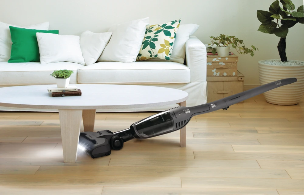 Dulkių siurblys Gorenje SVC216FGD