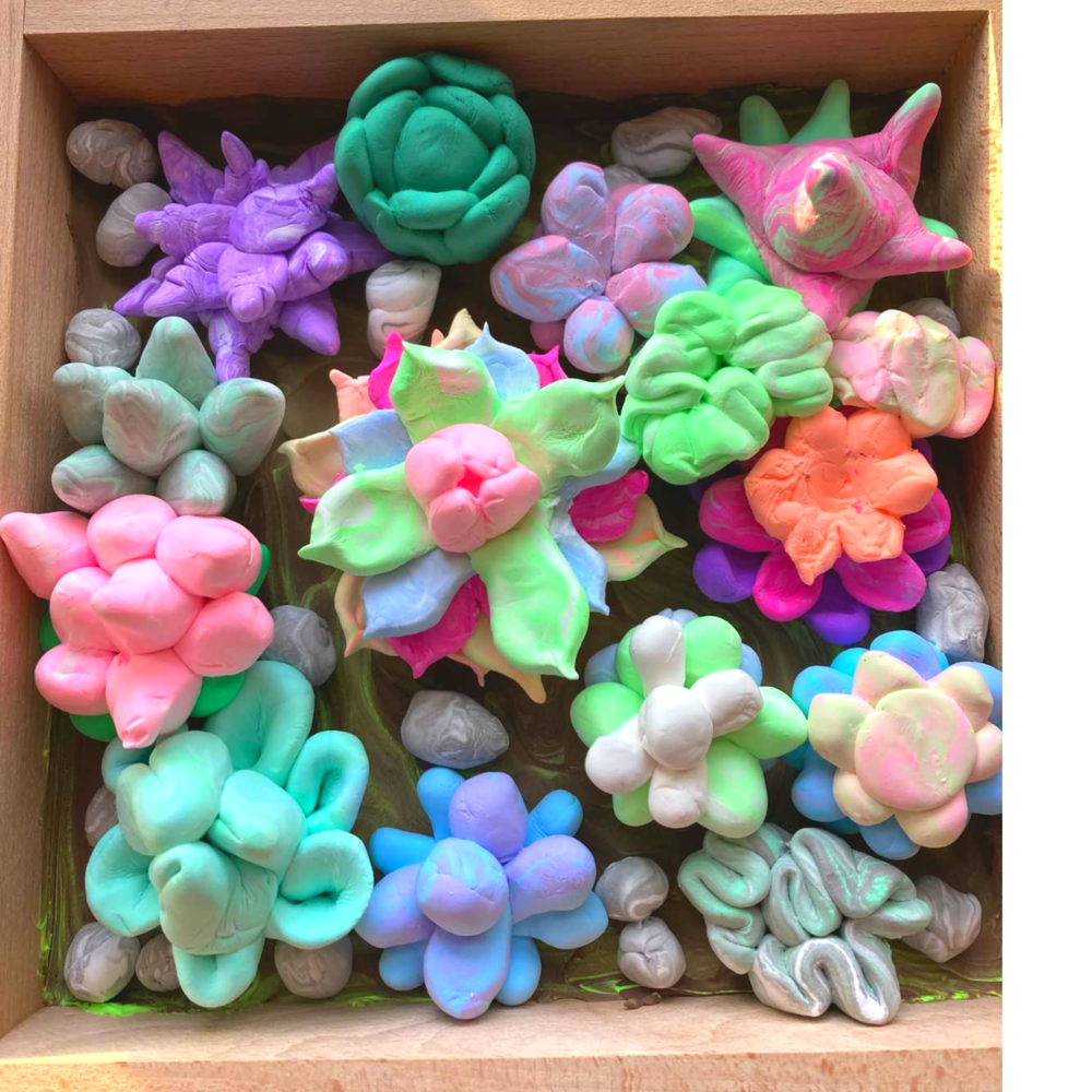 Plastilinas Okto SUCCULENTS TENDERNESS ETC10010