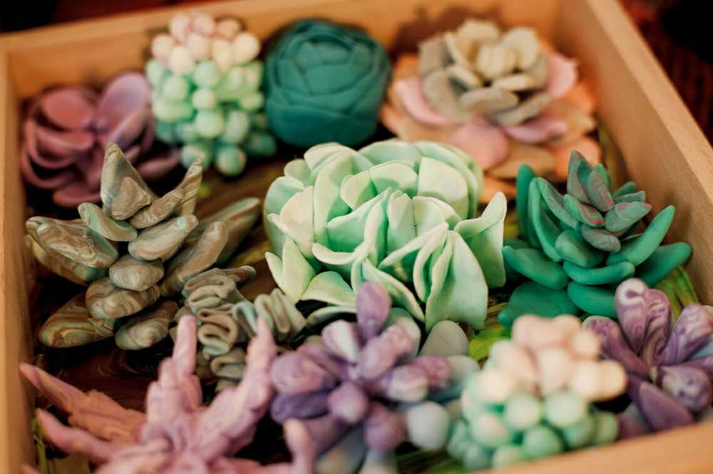 Plastilinas Okto SUCCULENTS TENDERNESS ETC10010
