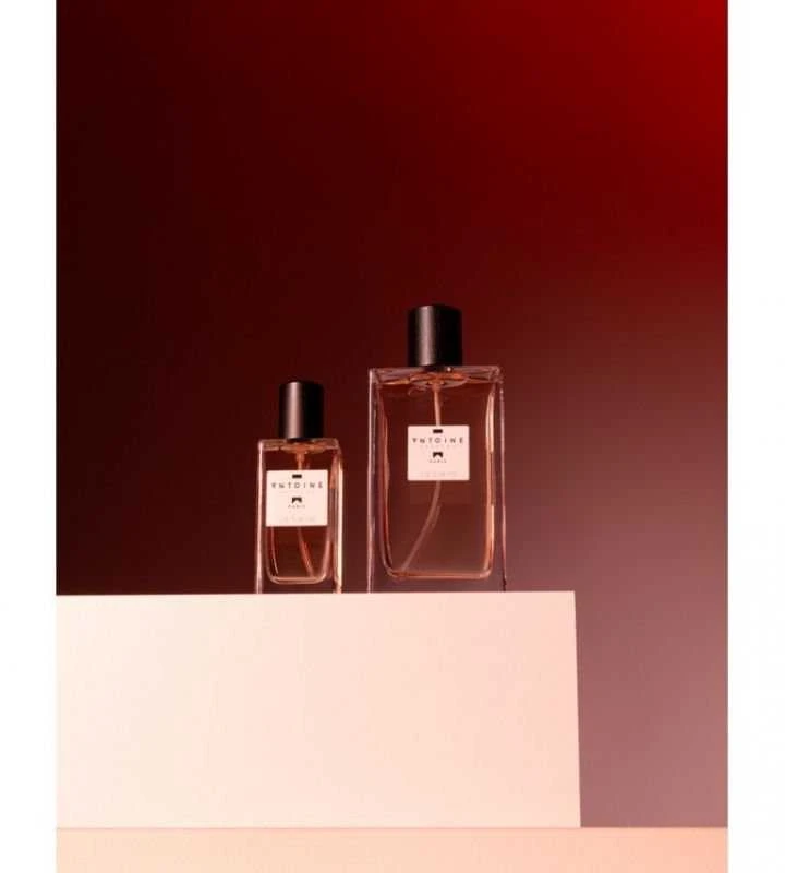 Antoine Parfums Antoine Jasmin EDT 100 ml