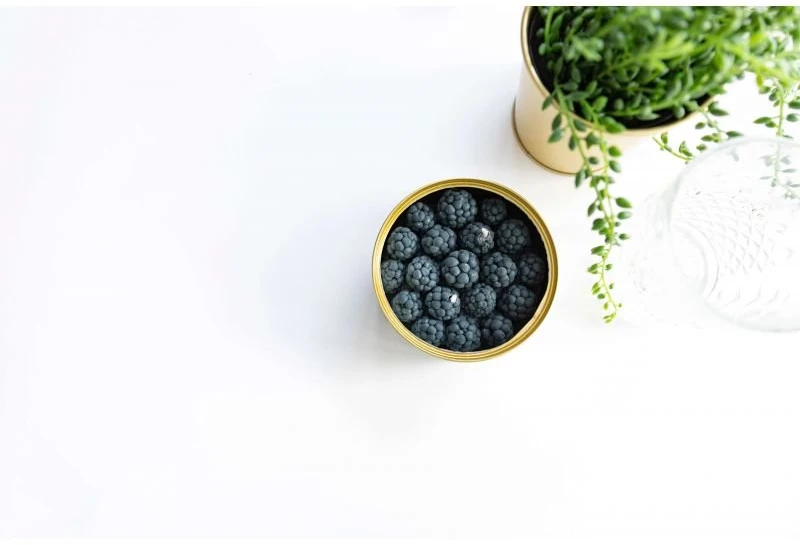 CANDLECAN Gervuogė ir cinamonas kvapioji žvakė 280 g