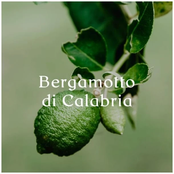 Cereria Molla 1899 Cereria Mollá Bergamotto di Calabria smilkalai 20 vnt.