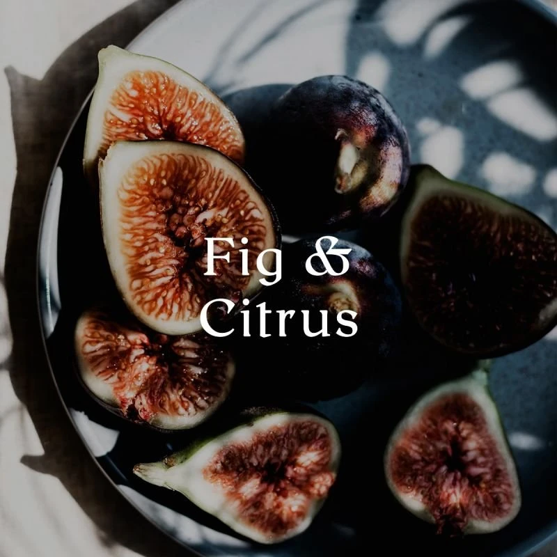Cereria Mollá smilkalų lazdelės, Judas Fig & Citrus, 20 vnt