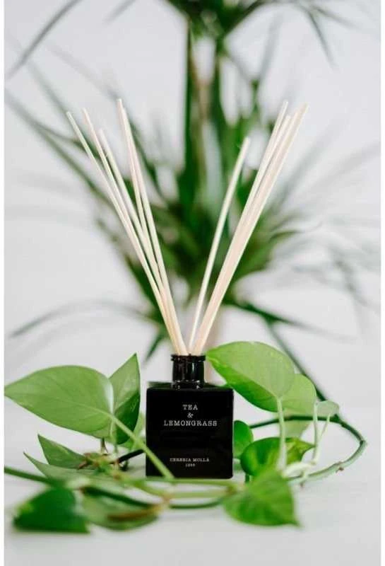 Cereria Molla 1899 Cereria Mollá Tea & Lemongrass namų kvapas su lazdelėmis 100 ml