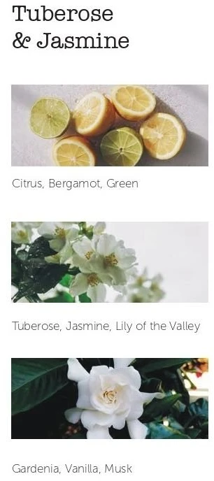 Cereria Molla 1899 Cereria Mollá Tuberose & Jasmine smilkalai 20 vnt.