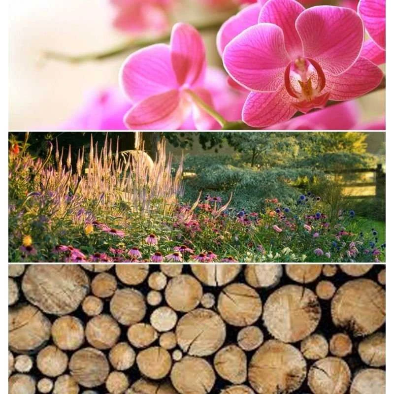 Chiara Firenze Orchidea Selvatica namų kvapas 200 ml