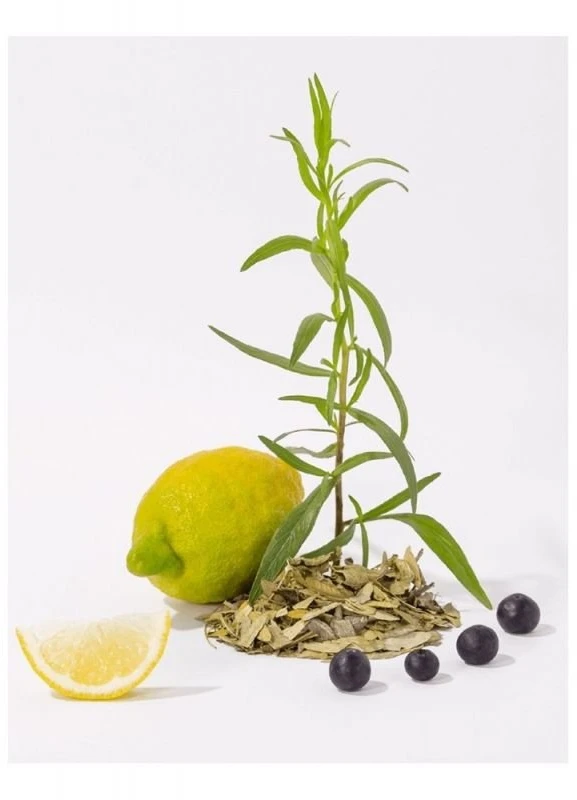 Compagnie De Provence CDP Baltas Tea skysto Marselio muilo papildymas 1 l
