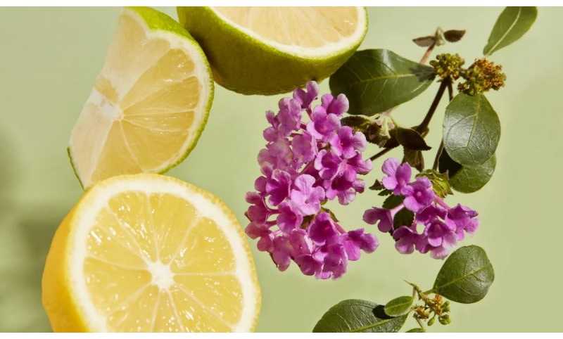 HAAN Rutulinis dezodorantas "Purifying Verbena", 40ml