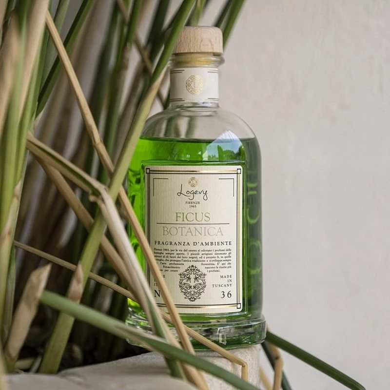 Logevy Firenze 1965 Namų kvapas su lazdelėmis "Ficus Botanica" (žalumos, medienos ir vanilės kvapo), 100 ml