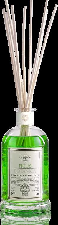 Logevy Firenze 1965 Namų kvapas su lazdelėmis "Ficus Botanica" (žalumos, medienos ir vanilės kvapo), 100 ml